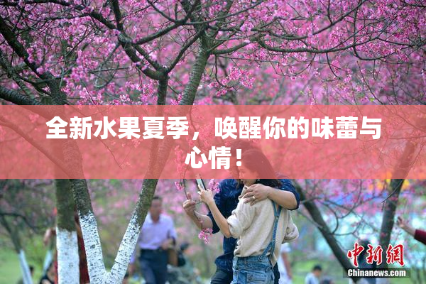 全新水果夏季，唤醒你的味蕾与心情！