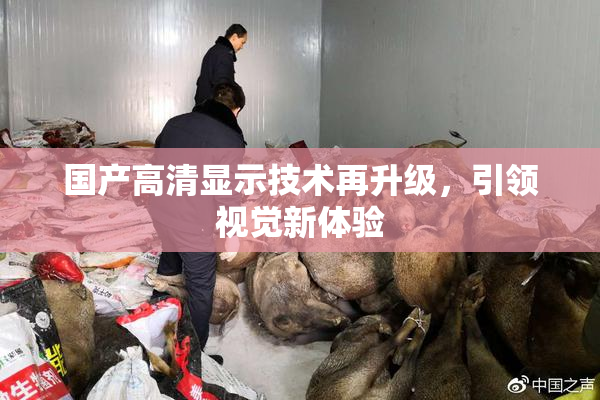 国产高清显示技术再升级，引领视觉新体验