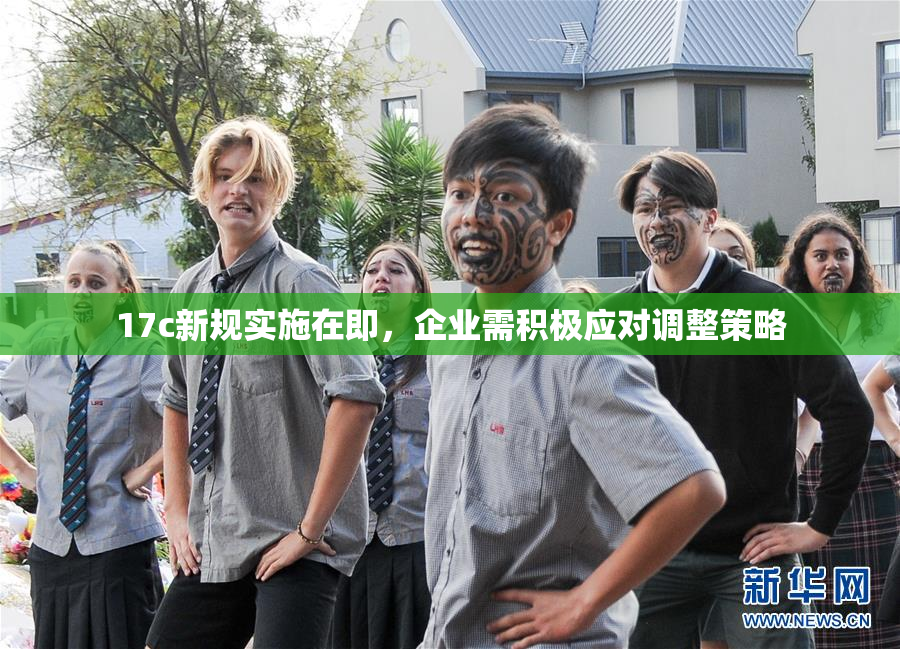 17c新规实施在即，企业需积极应对调整策略