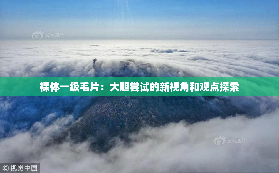 裸体一级毛片：大胆尝试的新视角和观点探索