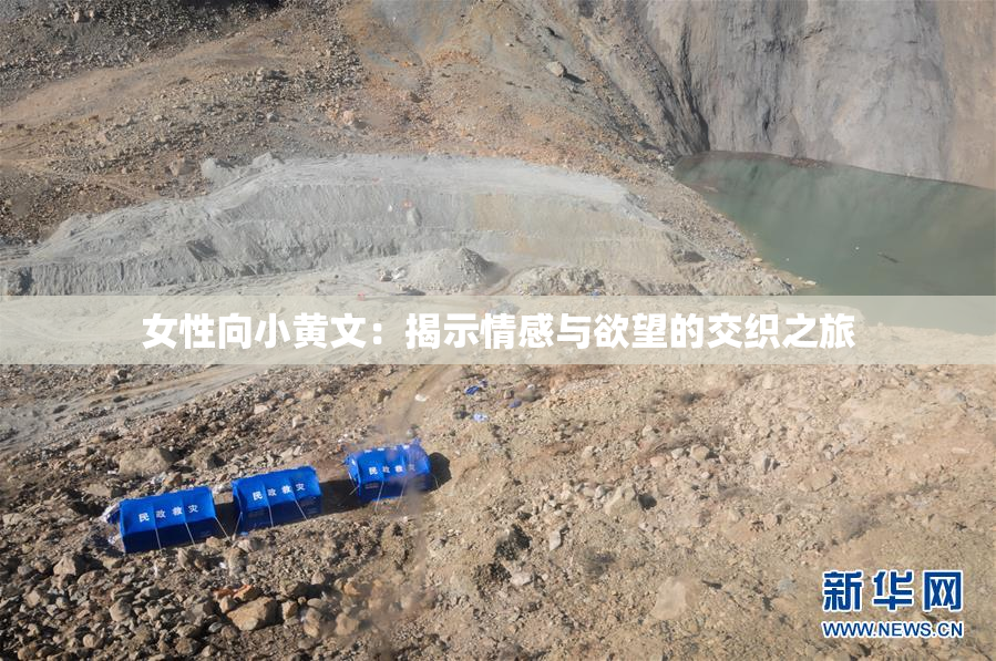 女性向小黄文：揭示情感与欲望的交织之旅