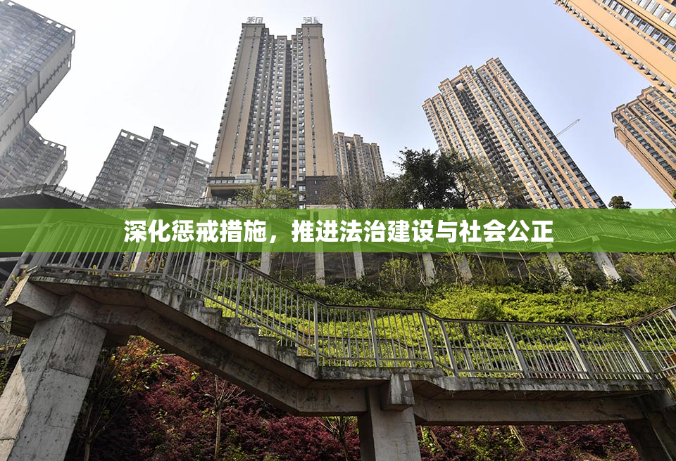 深化惩戒措施，推进法治建设与社会公正