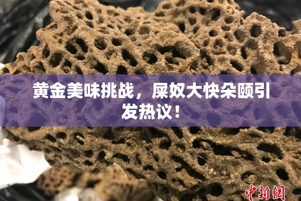 黄金美味挑战，屎奴大快朵颐引发热议！