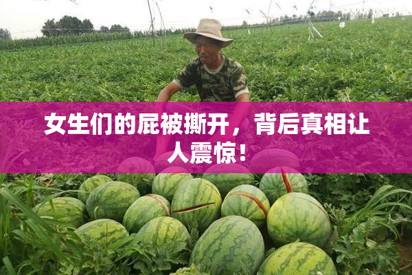 女生们的屁被撕开，背后真相让人震惊！