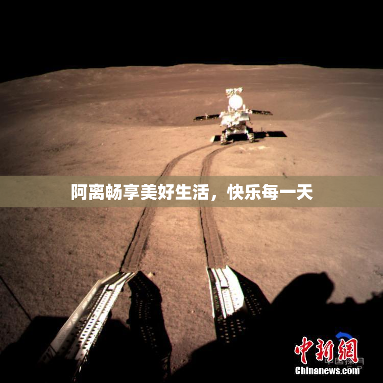 阿离畅享美好生活，快乐每一天