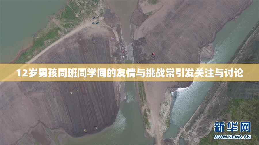 12岁男孩同班同学间的友情与挑战常引发关注与讨论