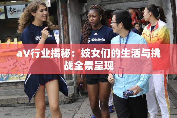 aV行业揭秘：妓女们的生活与挑战全景呈现