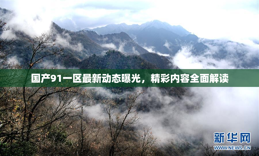 国产91一区最新动态曝光，精彩内容全面解读