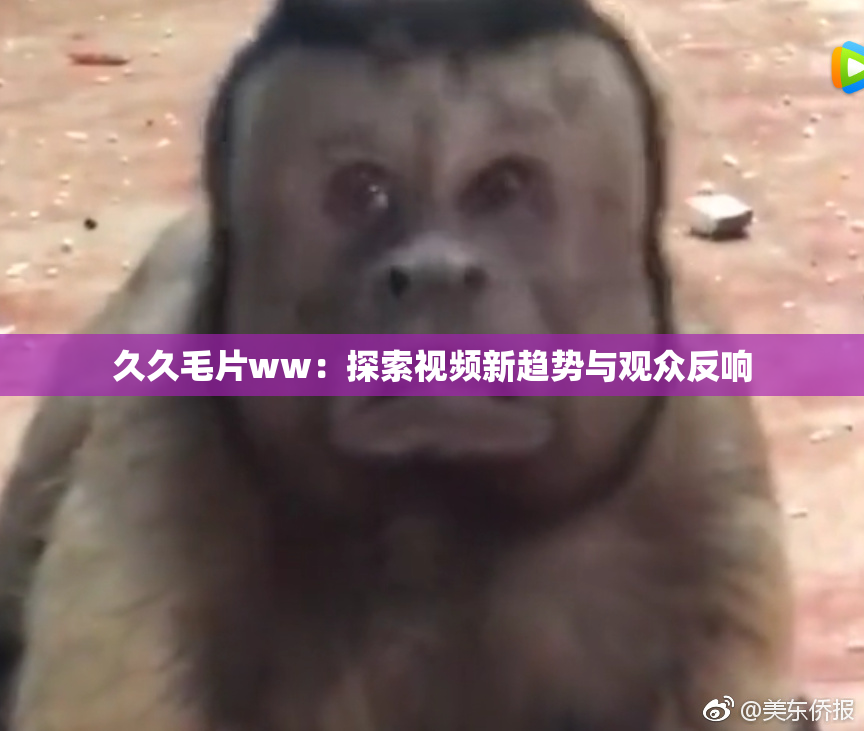 久久毛片ww：探索视频新趋势与观众反响