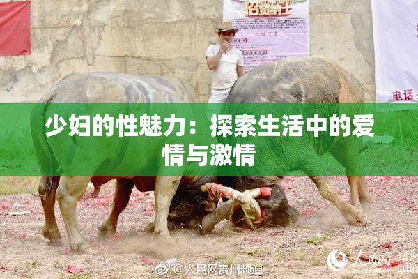 少妇的性魅力：探索生活中的爱情与激情