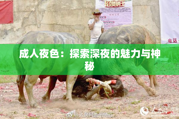 成人夜色：探索深夜的魅力与神秘
