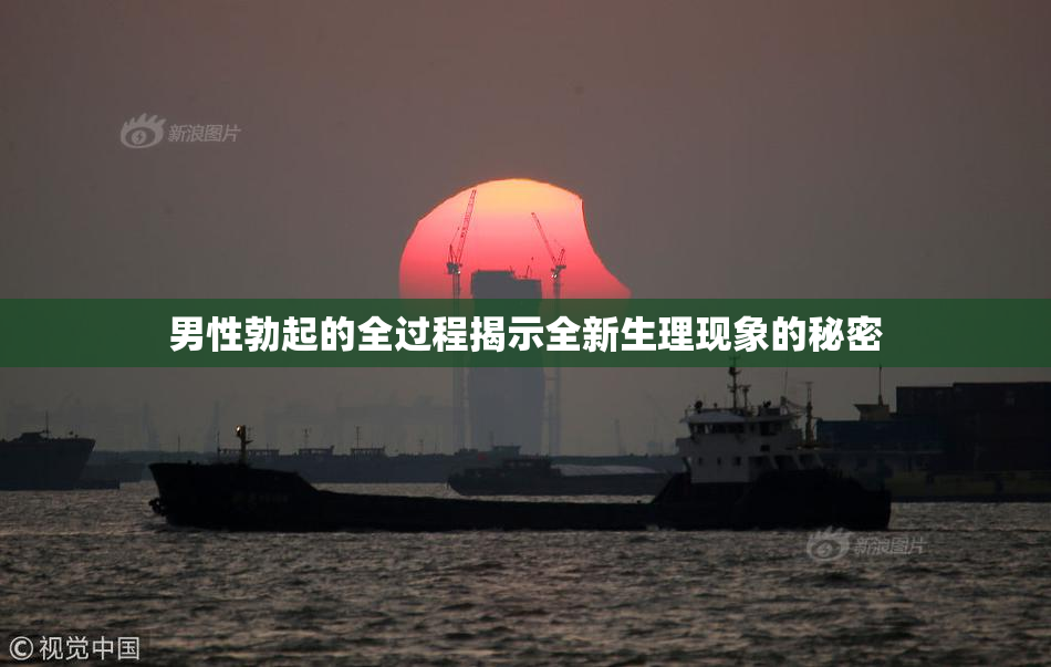 男性勃起的全过程揭示全新生理现象的秘密