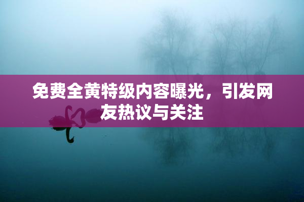 免费全黄特级内容曝光，引发网友热议与关注