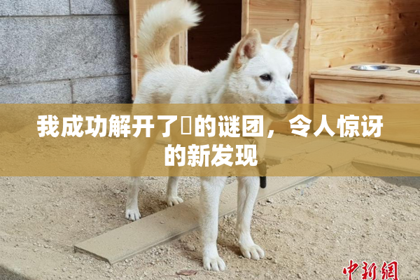 我成功解开了妺的谜团，令人惊讶的新发现