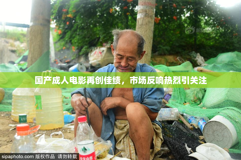 国产成人电影再创佳绩，市场反响热烈引关注