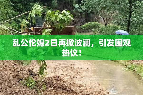 乱公伦媳2日再掀波澜，引发围观热议！