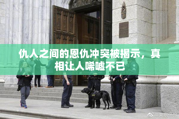 仇人之间的恩仇冲突被揭示，真相让人唏嘘不已