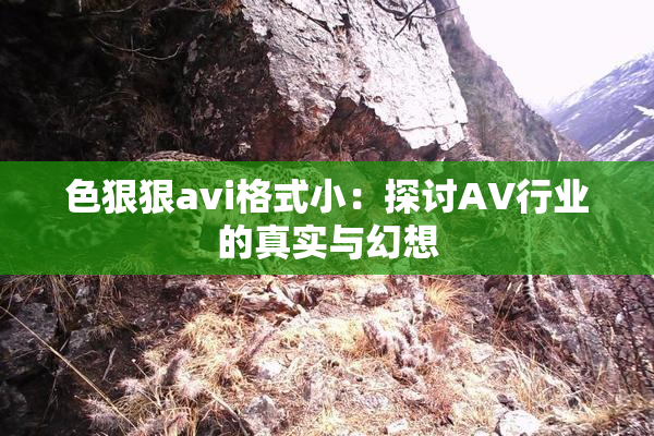 色狠狠avi格式小：探讨AV行业的真实与幻想