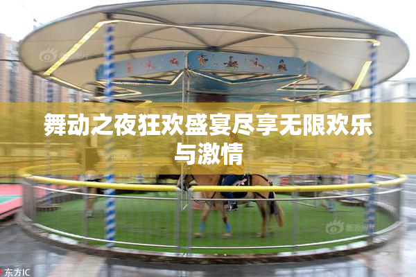 舞动之夜狂欢盛宴尽享无限欢乐与激情