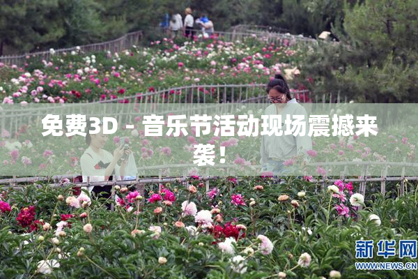 免费3D - 音乐节活动现场震撼来袭！