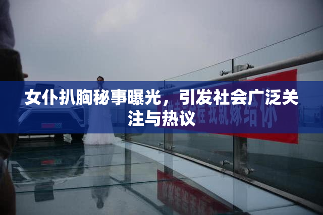 女仆扒胸秘事曝光，引发社会广泛关注与热议