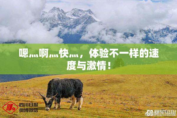嗯灬啊灬快灬，体验不一样的速度与激情！