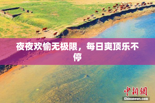 夜夜欢愉无极限，每日爽顶乐不停