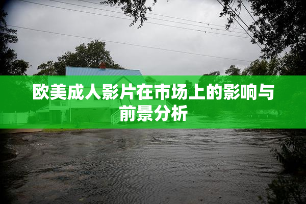 欧美成人影片在市场上的影响与前景分析