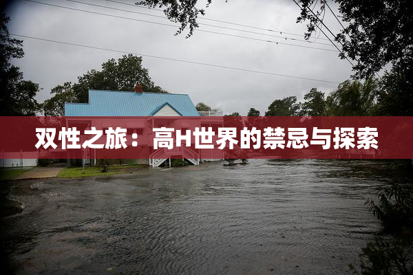 双性之旅：高H世界的禁忌与探索
