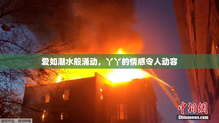 爱如潮水般涌动，丫丫的情感令人动容