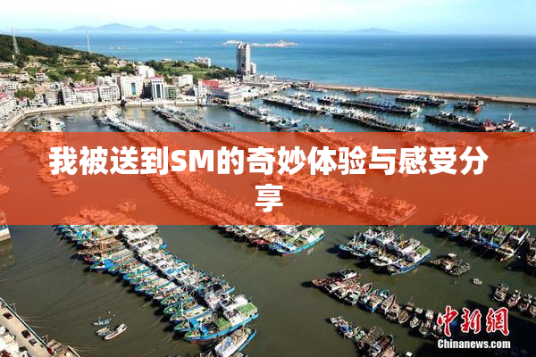 我被送到SM的奇妙体验与感受分享
