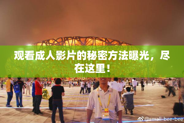 观看成人影片的秘密方法曝光，尽在这里！