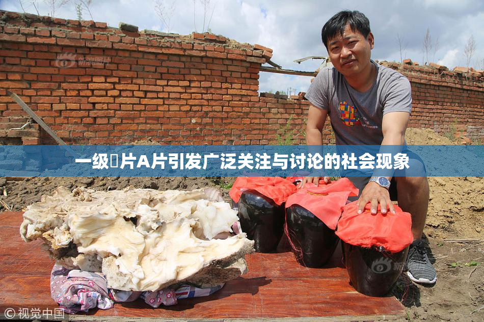一级婬片A片引发广泛关注与讨论的社会现象