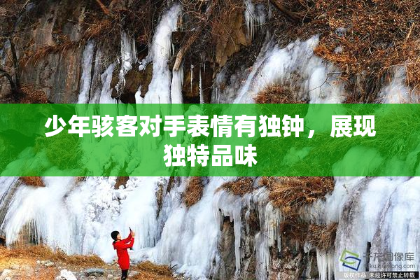 少年骇客对手表情有独钟，展现独特品味