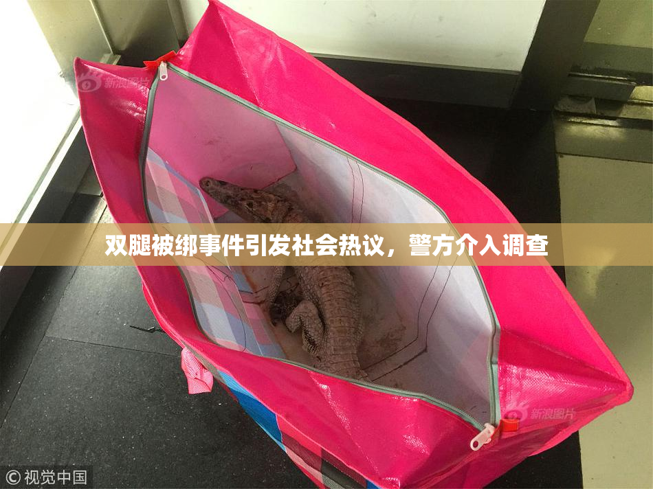 双腿被绑事件引发社会热议，警方介入调查