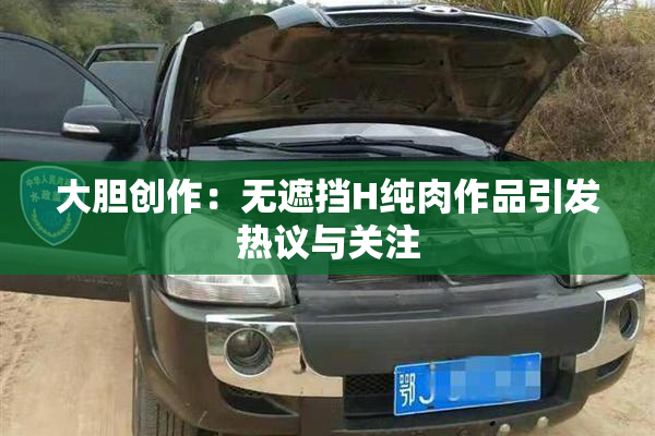 大胆创作：无遮挡H纯肉作品引发热议与关注