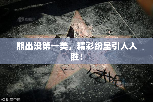 熊出没第一美，精彩纷呈引人入胜！