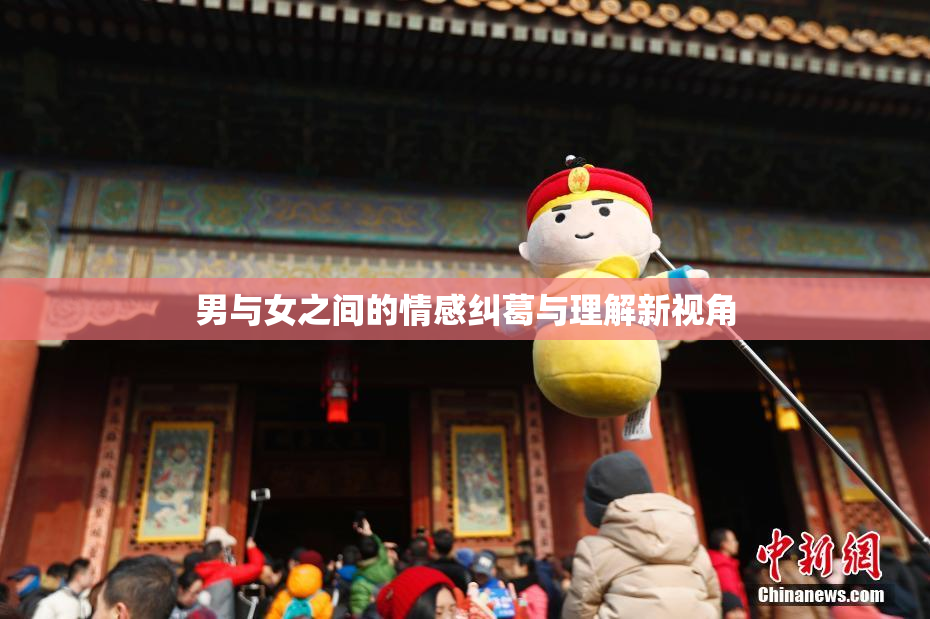 男与女之间的情感纠葛与理解新视角