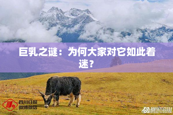 巨乳之谜：为何大家对它如此着迷？