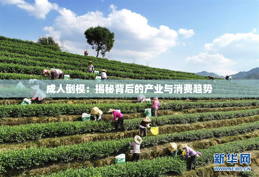 成人倒模：揭秘背后的产业与消费趋势