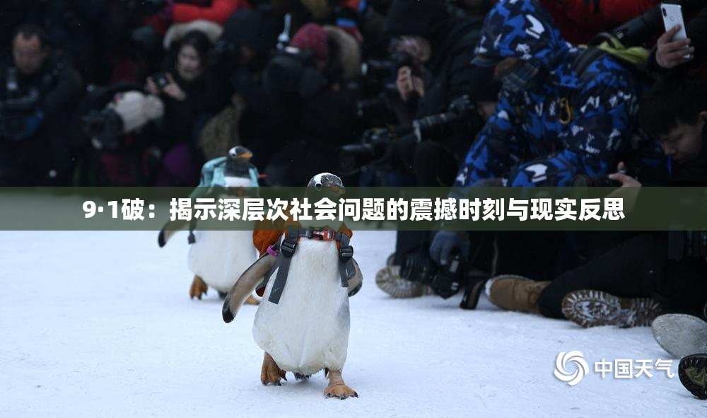 9·1破：揭示深层次社会问题的震撼时刻与现实反思