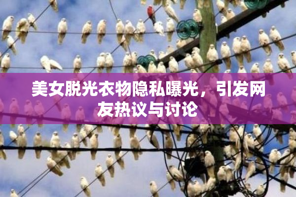 美女脱光衣物隐私曝光，引发网友热议与讨论