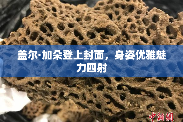 盖尔·加朵登上封面，身姿优雅魅力四射