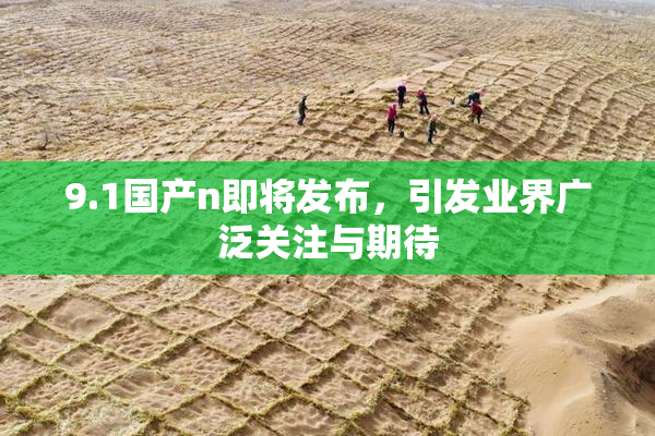 9.1国产n即将发布，引发业界广泛关注与期待