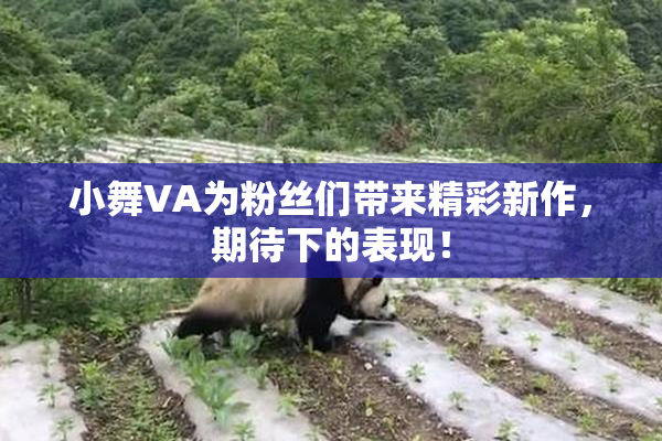 小舞VA为粉丝们带来精彩新作，期待下的表现！