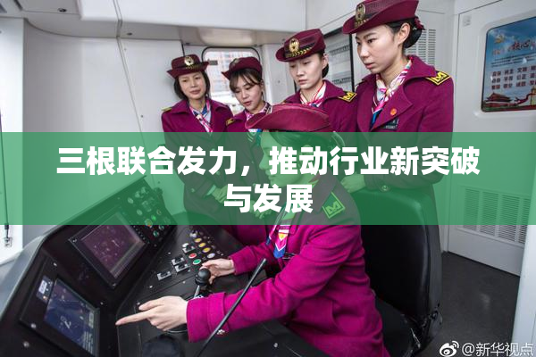 三根联合发力，推动行业新突破与发展