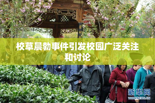校草晨勃事件引发校园广泛关注和讨论