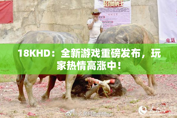 18KHD：全新游戏重磅发布，玩家热情高涨中！