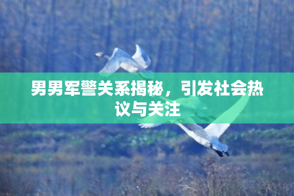 男男军警关系揭秘，引发社会热议与关注
