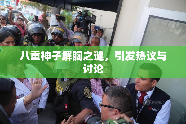 八重神子解胸之谜，引发热议与讨论